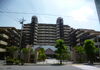 estate7