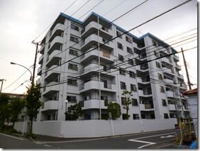 estate11